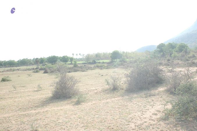 20070509 NUCourses Traditional Udal Kattumurthi 6977.jpg