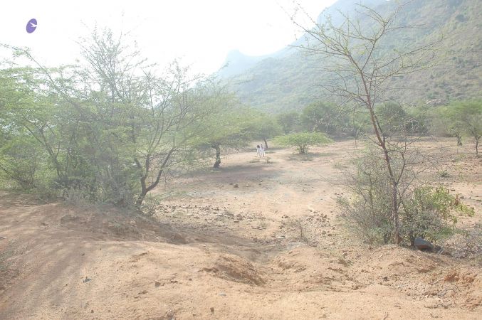 20070509 NUCourses Traditional Udal Kattumurthi 6986.jpg