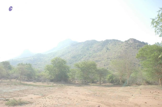 20070509 NUCourses Traditional Udal Kattumurthi 7002.jpg