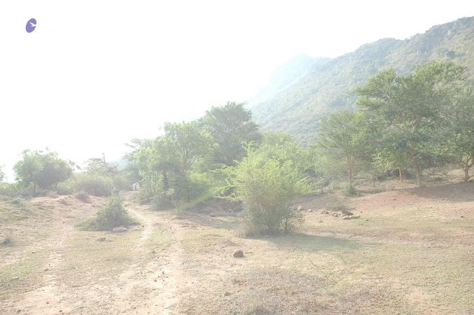 20070509 NUCourses Traditional Udal Kattumurthi 7009.jpg