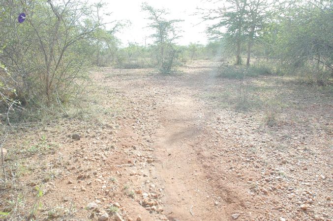 20070509 NUCourses Traditional Udal Kattumurthi 7033.jpg