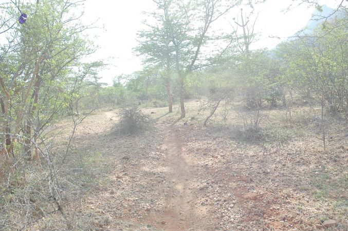 20070509 NUCourses Traditional Udal Kattumurthi 7047.jpg