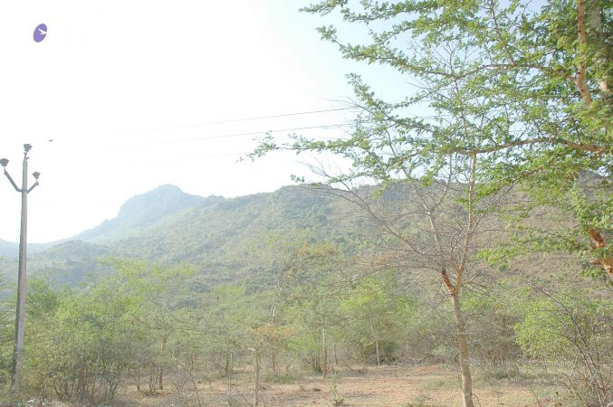 20070509 NUCourses Traditional Udal Kattumurthi 7051.jpg