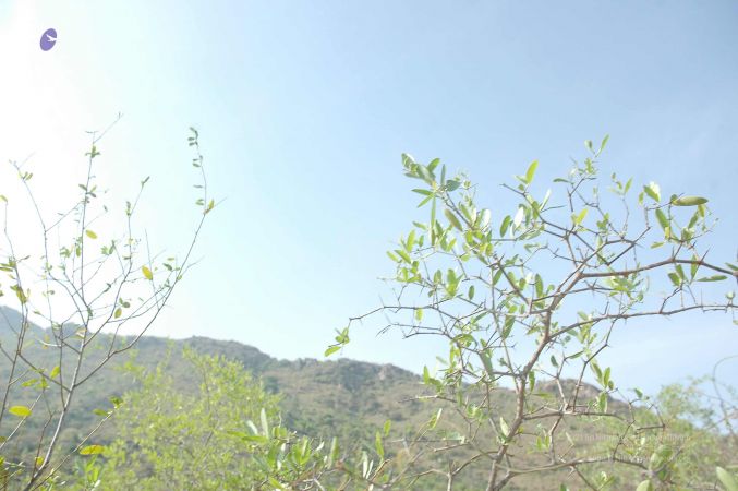 20070509 NUCourses Traditional Udal Kattumurthi 7087.jpg