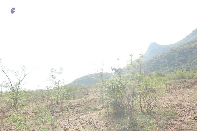 20070509 NUCourses Traditional Udal Kattumurthi 7096.jpg