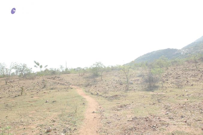 20070509 NUCourses Traditional Udal Kattumurthi 7100.jpg