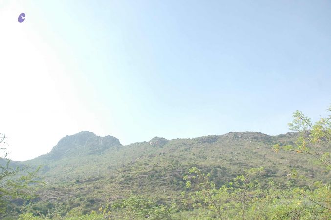 20070509 NUCourses Traditional Udal Kattumurthi 7120.jpg