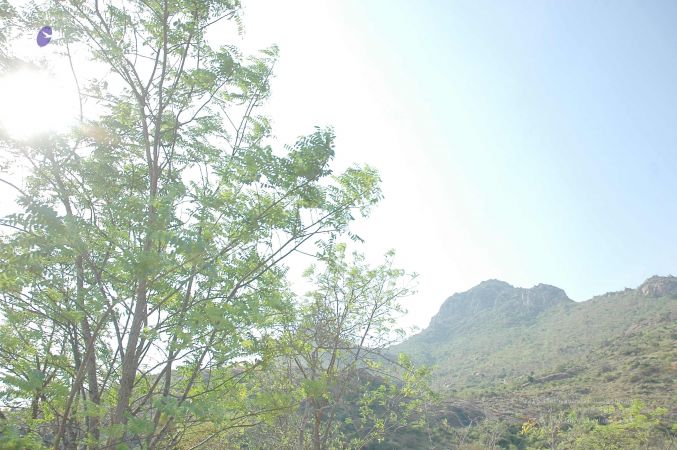 20070509 NUCourses Traditional Udal Kattumurthi 7122.jpg