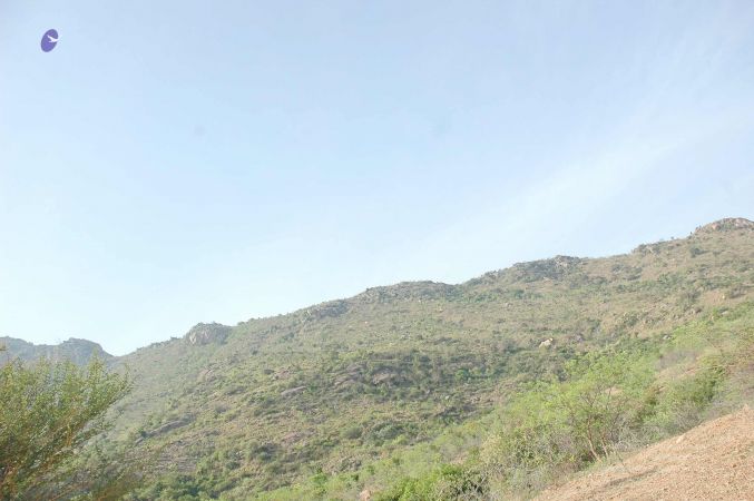 20070509 NUCourses Traditional Udal Kattumurthi 7137.jpg