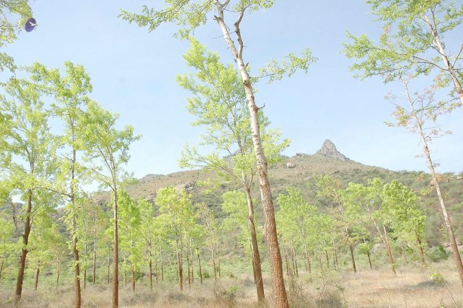 20070509 NUCourses Traditional Udal Kattumurthi 7182.jpg