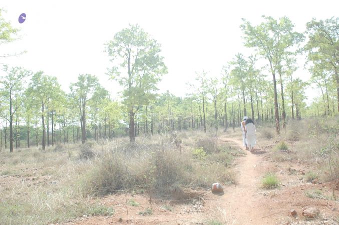 20070509 NUCourses Traditional Udal Kattumurthi 7184.jpg