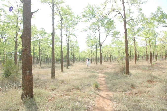 20070509 NUCourses Traditional Udal Kattumurthi 7187.jpg