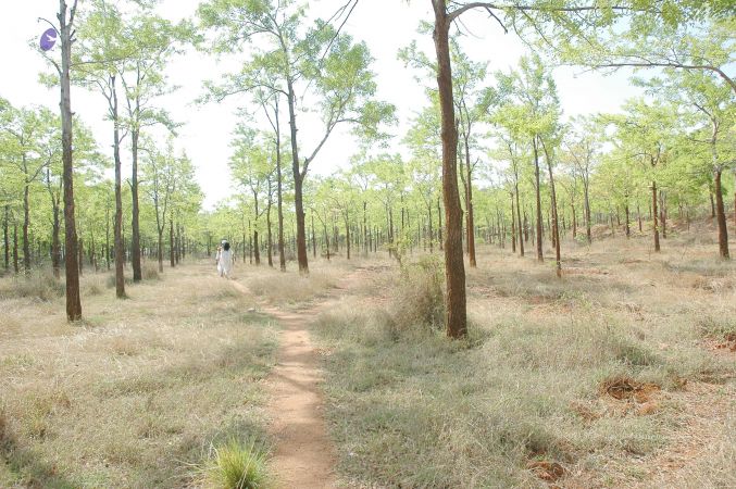 20070509 NUCourses Traditional Udal Kattumurthi 7188.jpg