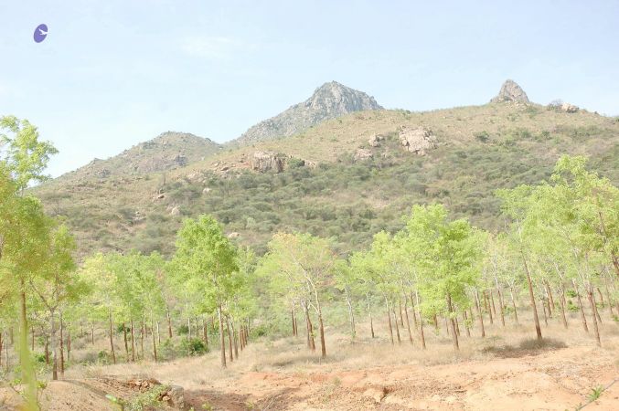 20070509 NUCourses Traditional Udal Kattumurthi 7235.jpg