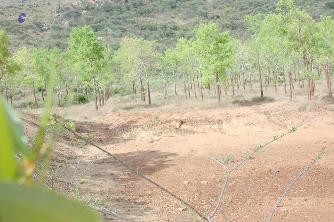 20070509 NUCourses Traditional Udal Kattumurthi 7236.jpg