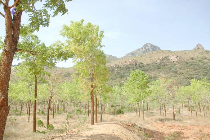 20070509 NUCourses Traditional Udal Kattumurthi 7270.jpg