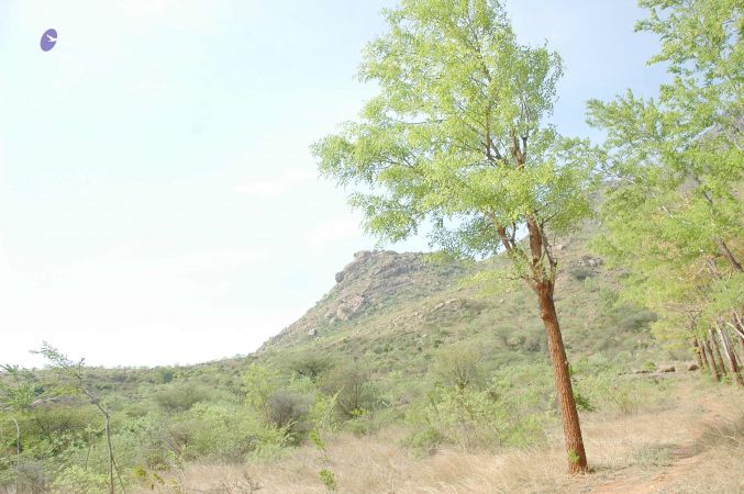 20070509 NUCourses Traditional Udal Kattumurthi 7314.jpg