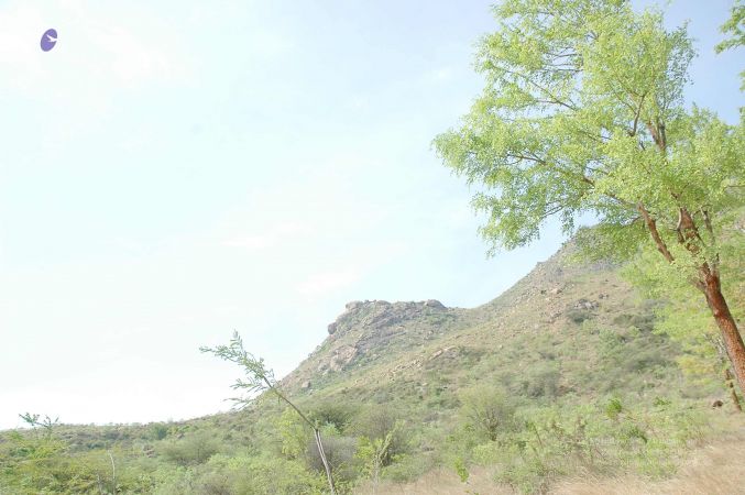 20070509 NUCourses Traditional Udal Kattumurthi 7315.jpg