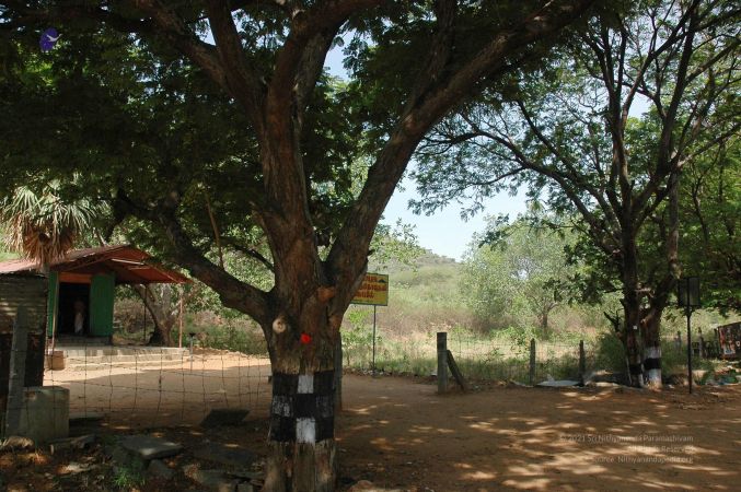 20070509 NUCourses Traditional Udal Kattumurthi 7368.jpg