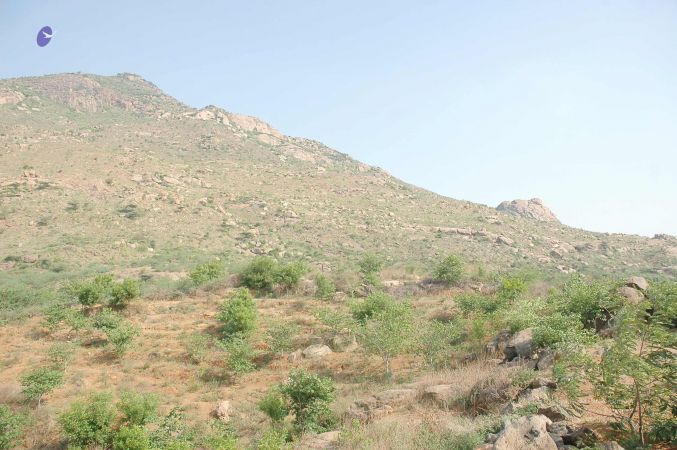 20070509 NUCourses Traditional Udal Kattumurthi 7466.jpg