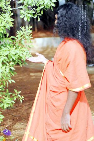 20070622 DSC 4568 CMP WM01.jpg