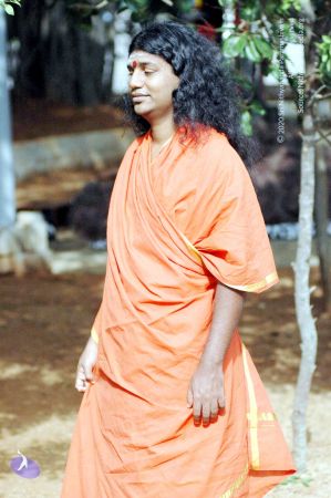 20070622 DSC 4577 CMP WM01.jpg