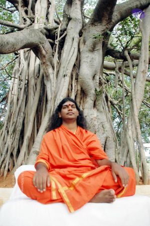 20070622 DSC 4666 CMP WM01.jpg