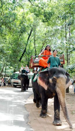 20070703 DSC 0107 CMP WM 11.jpg