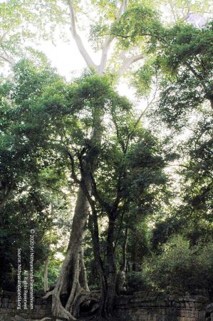 20070703 DSC 0668 CMP WM 11.jpg