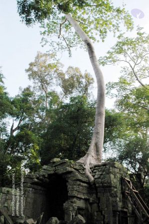 20070703 DSC 0672 CMP WM 11.jpg