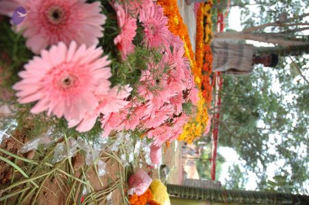 20070809 Photo 14 1mZ39bllmcLriD8YUgNXQ-JF3E5YkzAZu.jpg