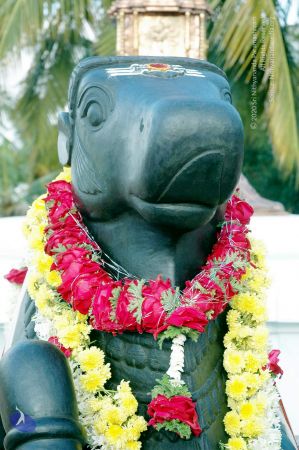 20070826 20070826 Photo 210 119axg3qH5h7zCKuvV4pOV3RmZSBROj8L 11.jpg