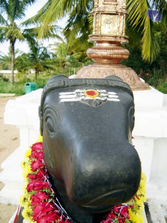 20070826 20070826 Photo 45 1YQ9rVqwq E1kxNDrRUVEZlgqJjYuxzD5 11.jpg