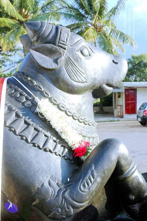 20070826 Photo 218 1vNy3er0QpOd0tQvkCFIhO59O2jXU EOP.jpg