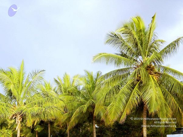 20070826 Photo 27 1VoMniYrnhNDB6zhx2KkMtTA 1OR4i-JR.jpg