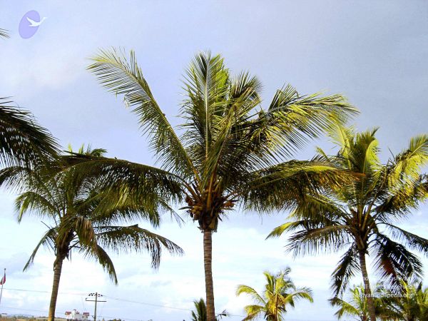 20070826 Photo 29 1cTMk45k2n3R6ohAaJBKHcySNOP4nOtZV.jpg