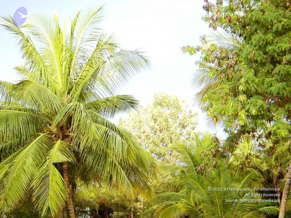 20070826 Photo 35 1nq9UhmrMaZkm2LNCKsBTW794QqiiSPEQ.jpg