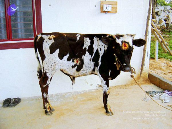 20070826 Photo 40 1xDwHoy2rXLoCOAPZ7Ii4G52D94aPTCmU.jpg