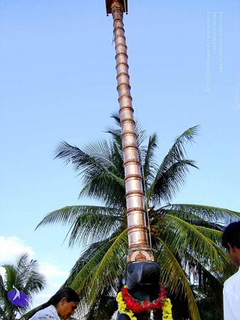 20070826 Photo 67 1VUgqQ-u4lI-N48hNZj1kjG9SJ OqHDvx.jpg