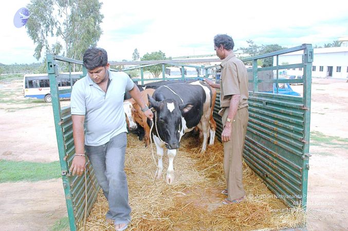 20070831 Photo 11 1YueKCH84Uh75PacdSkOo076XxdhCW37y.jpg