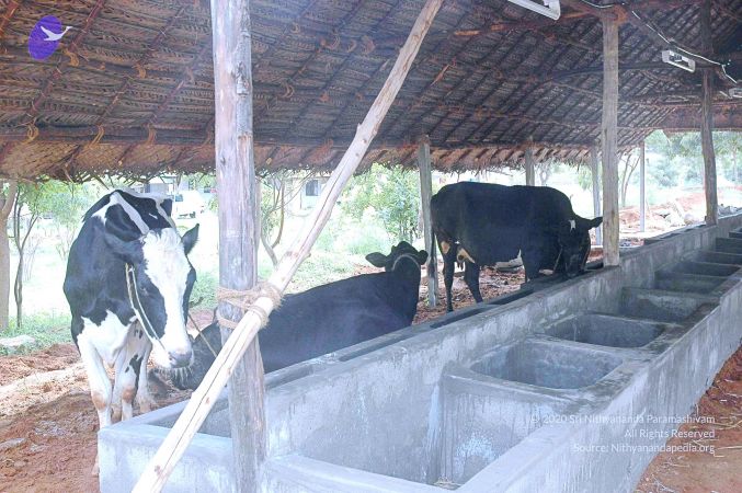 20070831 Photo 1 1mv9fkdjoZiuvZENCQIw58rX3C6HJIDvx.jpg