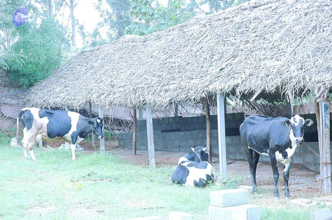 20070831 Photo 3 16Wz-BGrtGkEtGc7JbrfolR7dQ5s46oFW.jpg