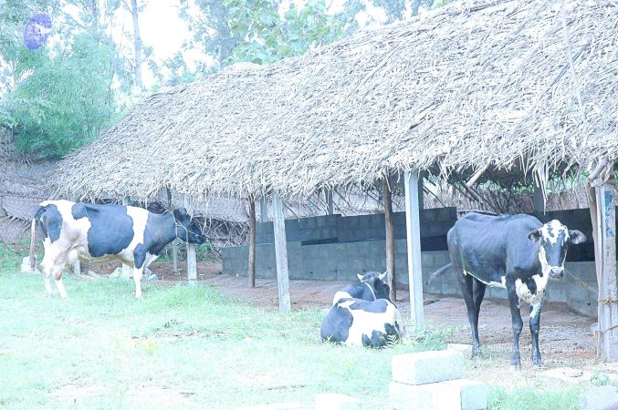 20070831 Photo 4 1 4o8ENSTnhiDb0Uoei8f05g47AsV8L5G.jpg