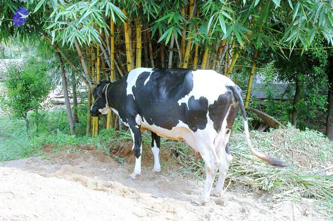 20070831 Photo 7 1T4SVvxTc4Bk-tCIe1l33jH18-NYGYXii.jpg