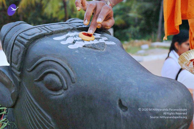 20071008 Photo 103 1J8r21PexM8j9RW hQpM8-jKyuQvHHGe0.jpg