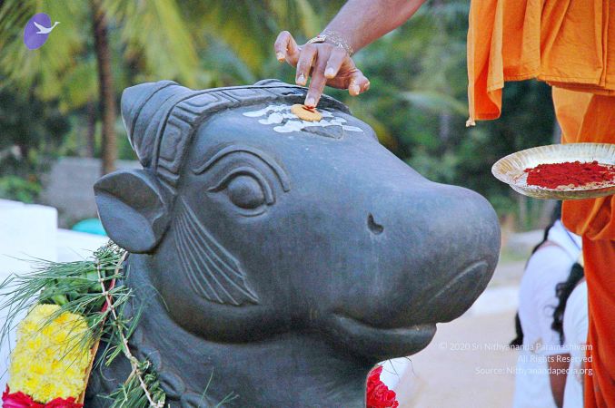 20071008 Photo 107 1kvQl61Fj IZ3 iV iVKUKSd4cC0yTAbW.jpg