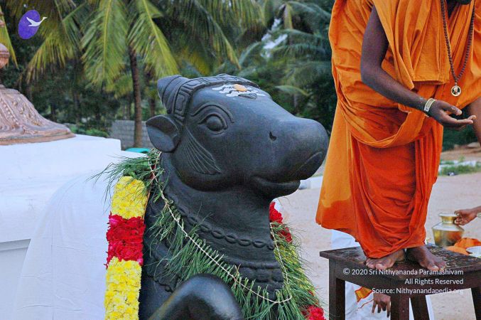 20071008 Photo 109 1Fg8wn1h -aqnPSyO33gzoaX9Kp2PTaMa.jpg