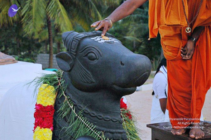 20071008 Photo 110 1Wth 4mDrSUHvTiiTFUWWsbJwiO52M1im.jpg