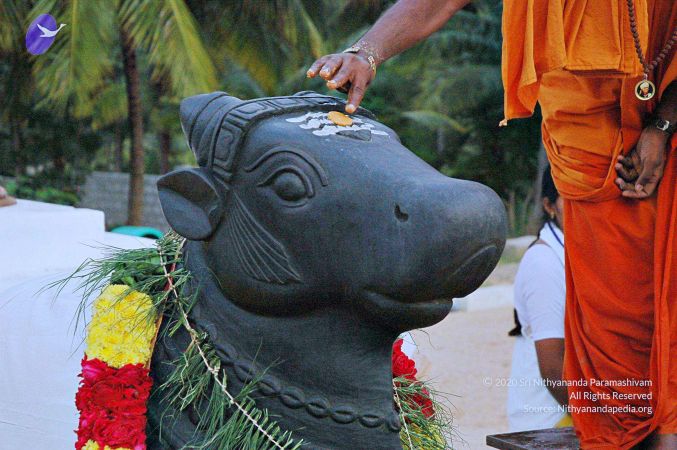 20071008 Photo 111 1tf 33l7vDpfvZDO8A6yPJoojMAihiDoG.jpg