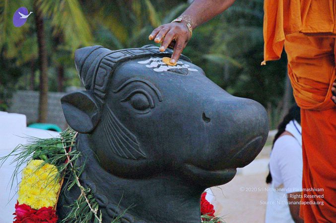 20071008 Photo 112 1fVCUa4P3V7vN7q7aGP7aBg4qGMf22Q3d.jpg